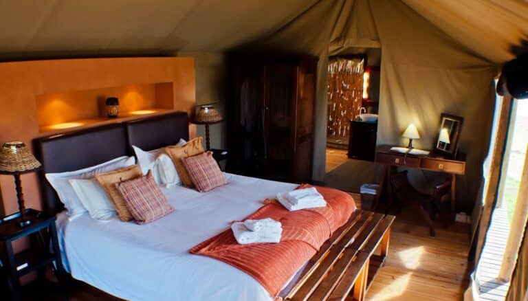 2 Day Ultimate Wildlife Safari Luxury Garden Route Adventure